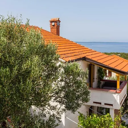 Guest house Apartmets Margarita,